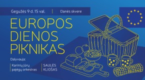 Europe Day Picnic
