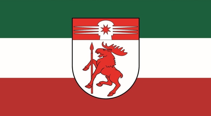 Minor Lithuania Day