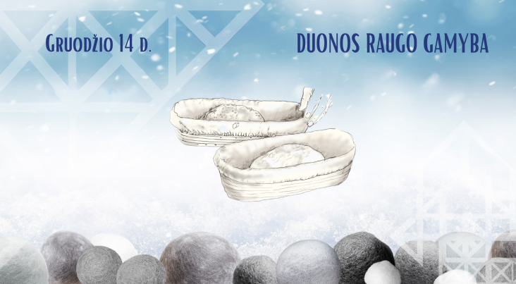 Duonos raugo gamyba